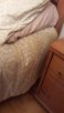 bed1.jpg bed1.jpg