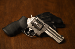 Ruger01.png