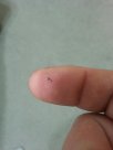 20131201_211628_resized.jpg