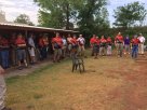6F51345A-6E4E-496A-BD76-655EDAB08425_zps6vhehogv.jpg