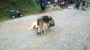 WP_20140607_001.jpg