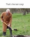 1663602654561.jpeg