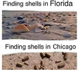 1667143102005.png