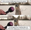 1669747750608.png