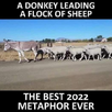 1669758358711.png
