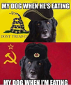 1674001667003.png