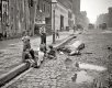 Children playing in New York City street gutter next to dead horse, 1905.jpg Children playing in New York City street gutter next to dead horse, 1905.jpg