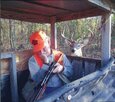 deer 2.jpg deer 2.jpg