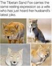 1697201014054.png 1697201014054.png