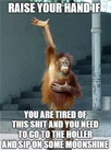 1697893235313.png