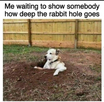1706355299609.png