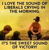 1731326962758.png
