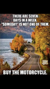 1731787874906.webp