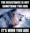 1738455635510.png