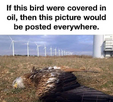 1746649784232.png