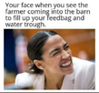 1748475509659.png