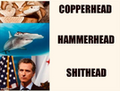 1750537047828.png