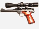 Browning Buckmark Hunter.jpg