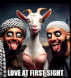 1755277402471.png