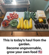 1757071598092.png