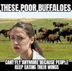 1761085372520.png
