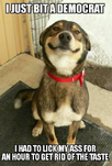 1764029309762.png