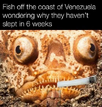 1766443217646.png
