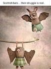 1768392412000.png