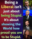 1772024485798.png