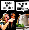 1775301261324.png