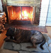 Reggie.Fireplace.011526.jpg Reggie.Fireplace.011526.jpg