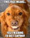 1776861264394.png
