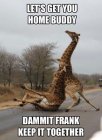 Funniest-Memes-of-the-Day-–-Funny-Pictures-8.jpg