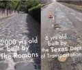 41205.jpeg