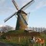 DutchWrangler