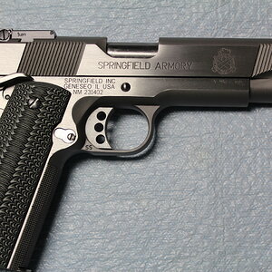 Springfield Armory Loaded Target 9mm R.JPG