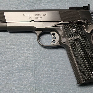 Springfield Armory Loaded Target 9mm L.JPG