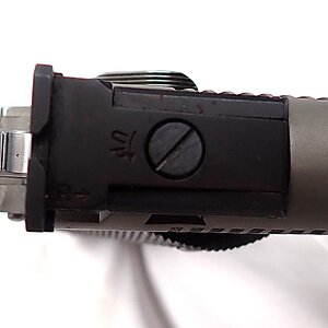 P1010086.JPG