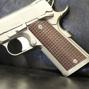 Valor Gen II Magwell 001.JPG